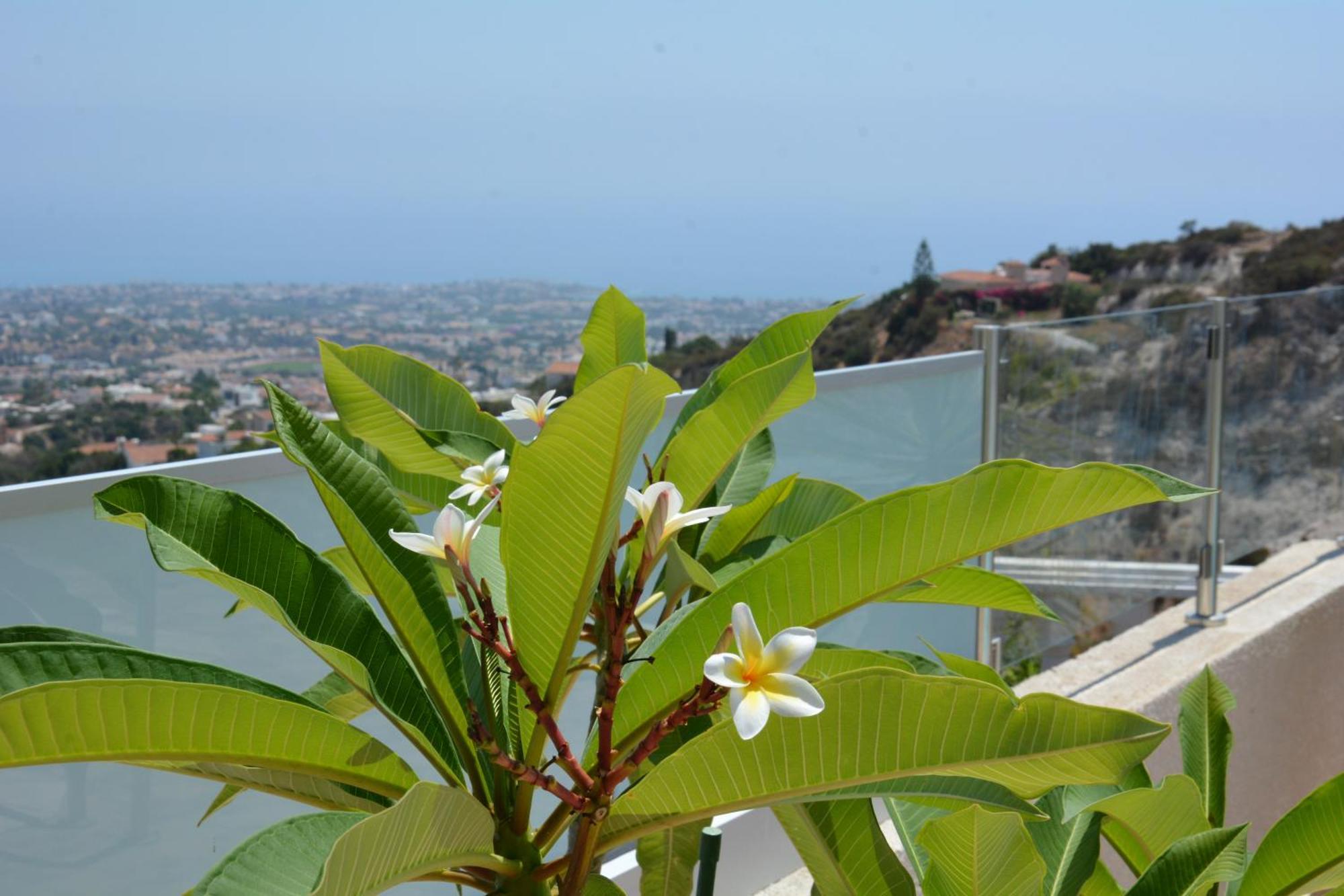 Villa Ocean Breeze Peyia Extérieur photo